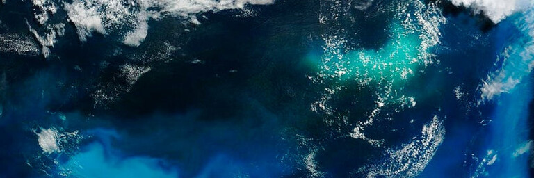 Phytoplankton bloom off Newfoundland