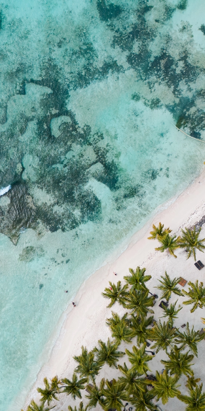 island trees
