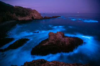 Noctiluca Scintillans NightScape Photography