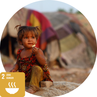 sdg2