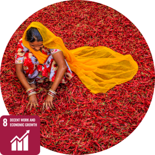 sdg8
