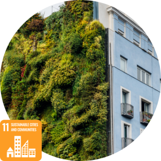 sdg11