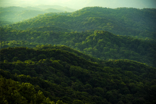 Green hills
